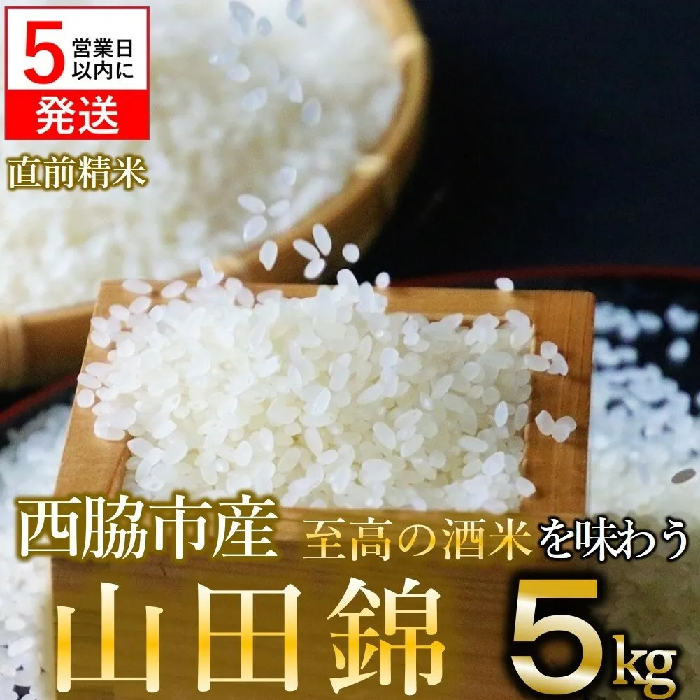 【令和５年産 山田錦】白米５kg（５kg×1袋）【５営業日以内に発送】(13-32)