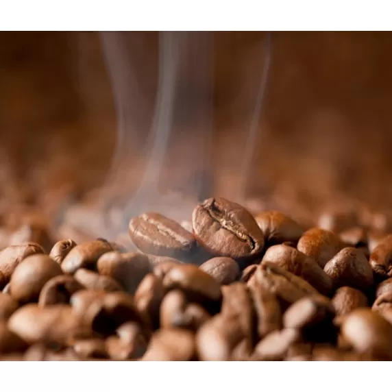バランタイン自家焙煎コーヒー豆1kg（500g×2袋、豆のまま）【北海道・沖縄・離島　配送不可】