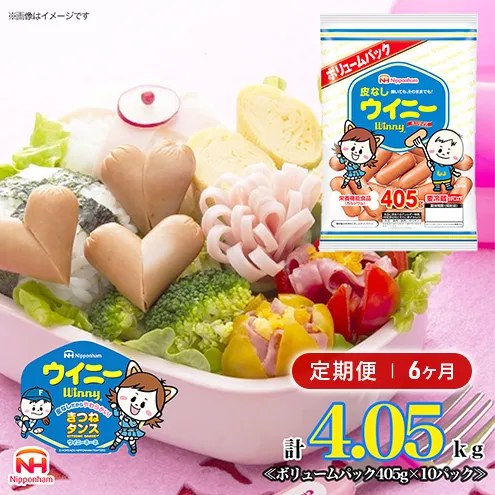 【定期便6か月お届け】皮なしウイニー大袋405g×10袋  計4.05kg　日本ハム  工場直送ウインナー ソーセージ 朝食 お弁当 カルシウム入 栄養機能食品 小分け 使い切り ふるさと納税