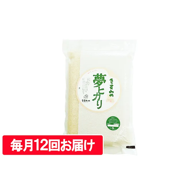 定期便 米 令和6年産 新米 真空パック5kg【毎月12回お届け】[ お米 おこめ コメ 白米 ] 