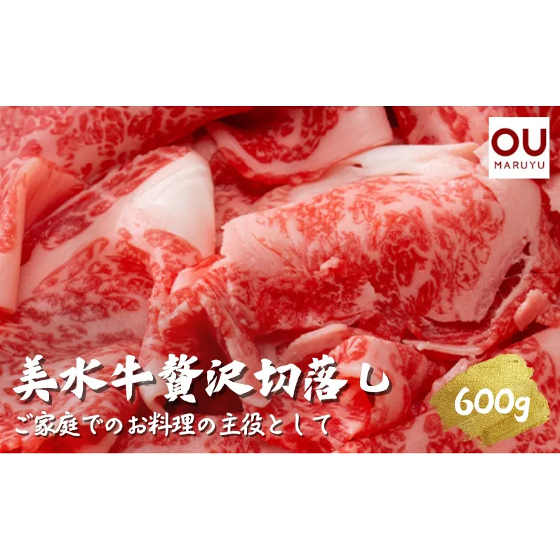 美水牛贅沢切落し６００ｇ（２００ｇ×３）　（冷凍品）【お中元 ギフト 夏 肉 お祝い 】