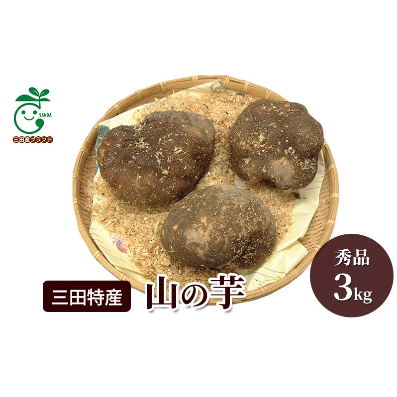 三田特産 山の芋　秀品3kg