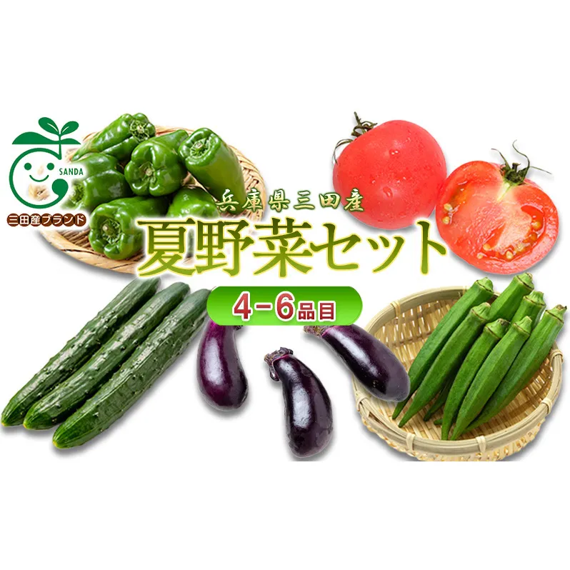 兵庫県三田産　おとうま農園が育てた夏野菜セット（4-6品目）