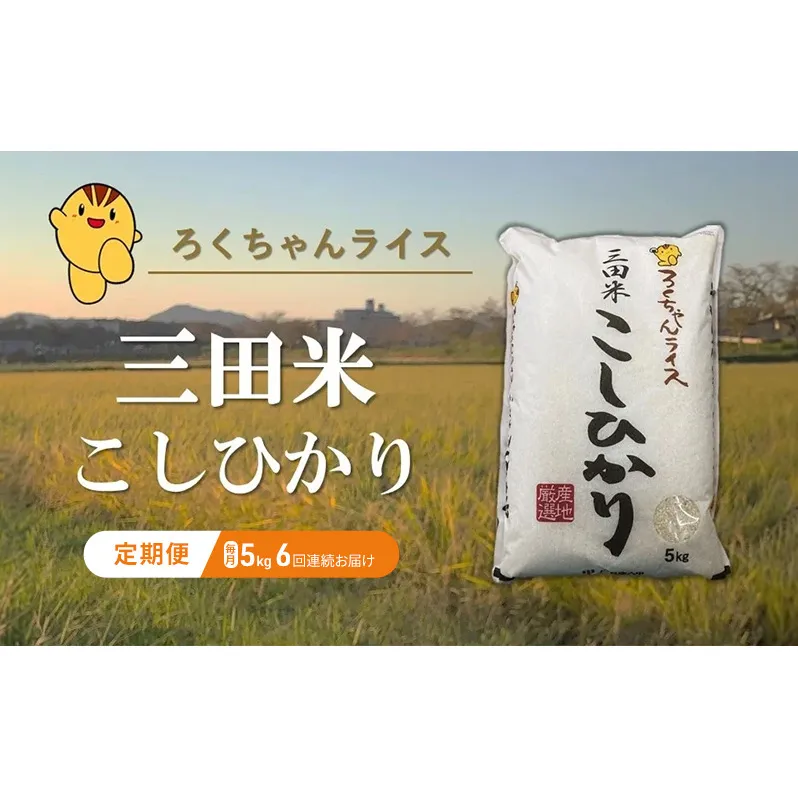 【定期便】新米予約 令和6年度産三田米コシヒカリ5kg 6ヶ月連続