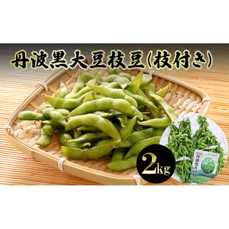 丹波黒大豆枝豆(枝付き)2kg【 野菜 えだまめ 黒大豆 旬の野菜 三田市 】