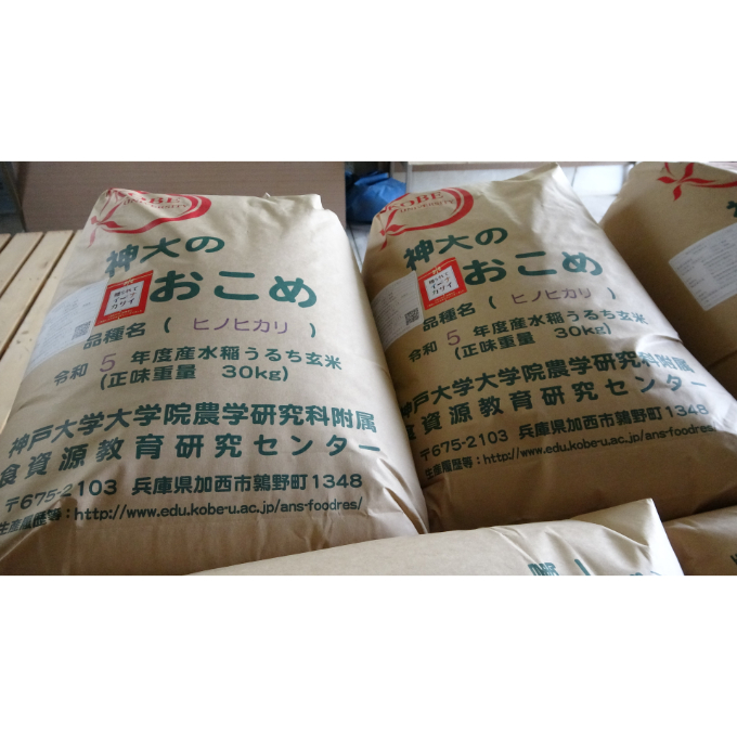米 【令和5年産】神大のおこめ（特別栽培米ヒノヒカリ）玄米30kg｜加西