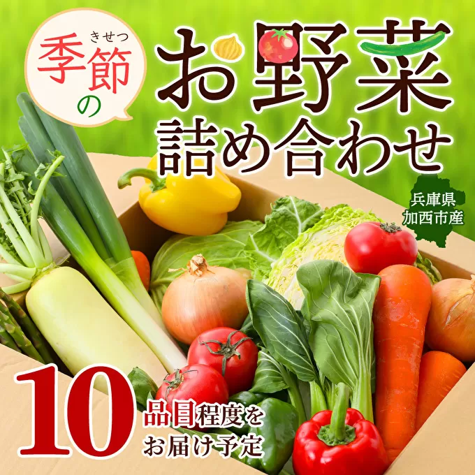 季節の野菜 セット 詰め合わせ 10品程度 野菜 野菜セット 旬の野菜 野菜詰め合わせ 野菜詰め合わせセット 新鮮野菜 新鮮野菜詰め合わせ 新鮮 旬