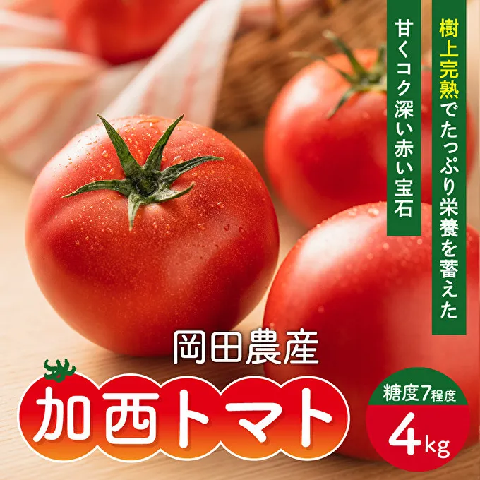 トマト 4kg 加西トマト 2025年度産 兵庫県産 野菜 とまと 完熟 高糖度 濃厚 甘い 賞 受賞 糖度 減農薬 夏野菜 あまい お取り寄せ 冷蔵配送