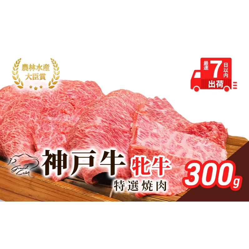 【最短7日以内発送】 神戸ビーフ 神戸牛 牝 特選焼肉 300g 川岸畜産 冷凍 肉 牛肉 すぐ届く