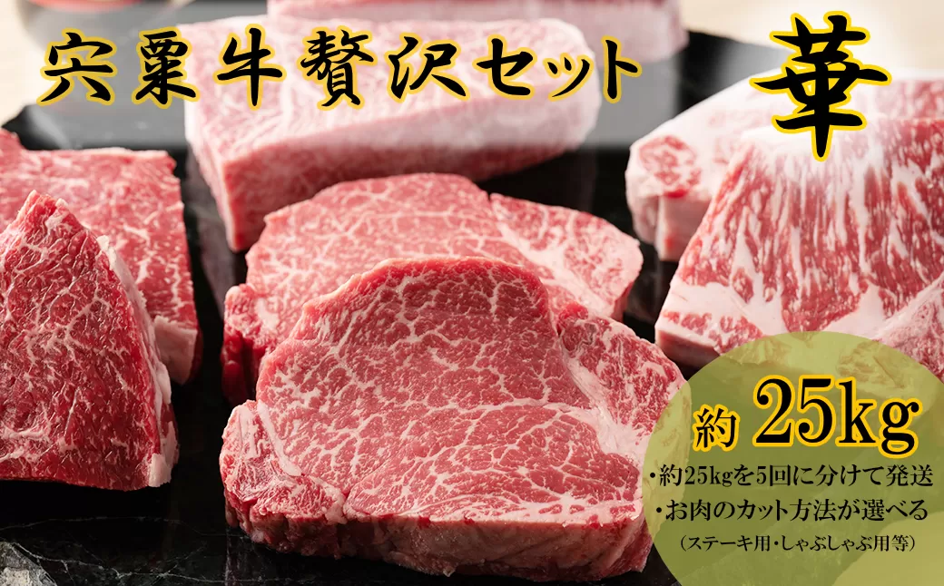 F14　宍粟牛贅沢セット【華 25kg】【ステーキ しゃぶしゃぶ 定期発送 冷蔵発送 宍粟牛 国産和牛 黒毛和牛 国産 3年肥育 牛肉 御中元 贈り物 BBQ キャンプ ご褒美】