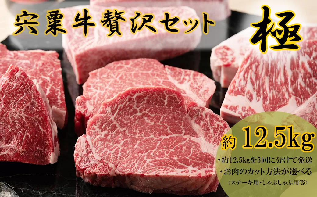 F13　宍粟牛贅沢セット【極 12.5kg】 【ステーキ しゃぶしゃぶ 定期発送 冷蔵発送 宍粟牛 国産和牛 黒毛和牛 国産 3年肥育 牛肉 御中元 贈り物 BBQ キャンプ ご褒美】