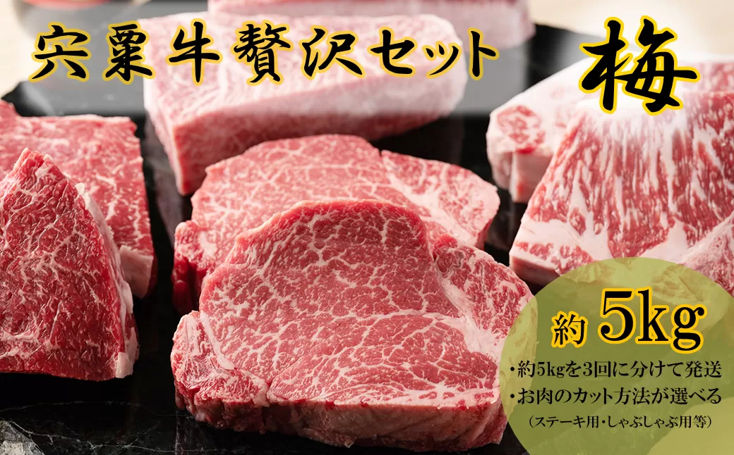 F10　宍粟牛　贅沢セット【梅　5kg】　【ステーキ しゃぶしゃぶ 定期発送 冷蔵発送 宍粟牛 国産和牛 黒毛和牛 国産 3年肥育 牛肉 御中元 贈り物 BBQ キャンプ ご褒美】