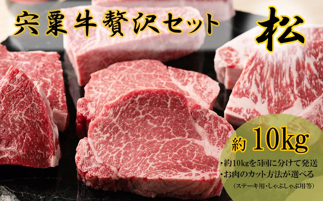 F12　宍粟牛贅沢セット【松 10kg】　【ステーキ しゃぶしゃぶ 定期発送 冷蔵発送 宍粟牛 国産和牛 黒毛和牛 国産 3年肥育 牛肉 御中元 贈り物 BBQ キャンプ ご褒美】