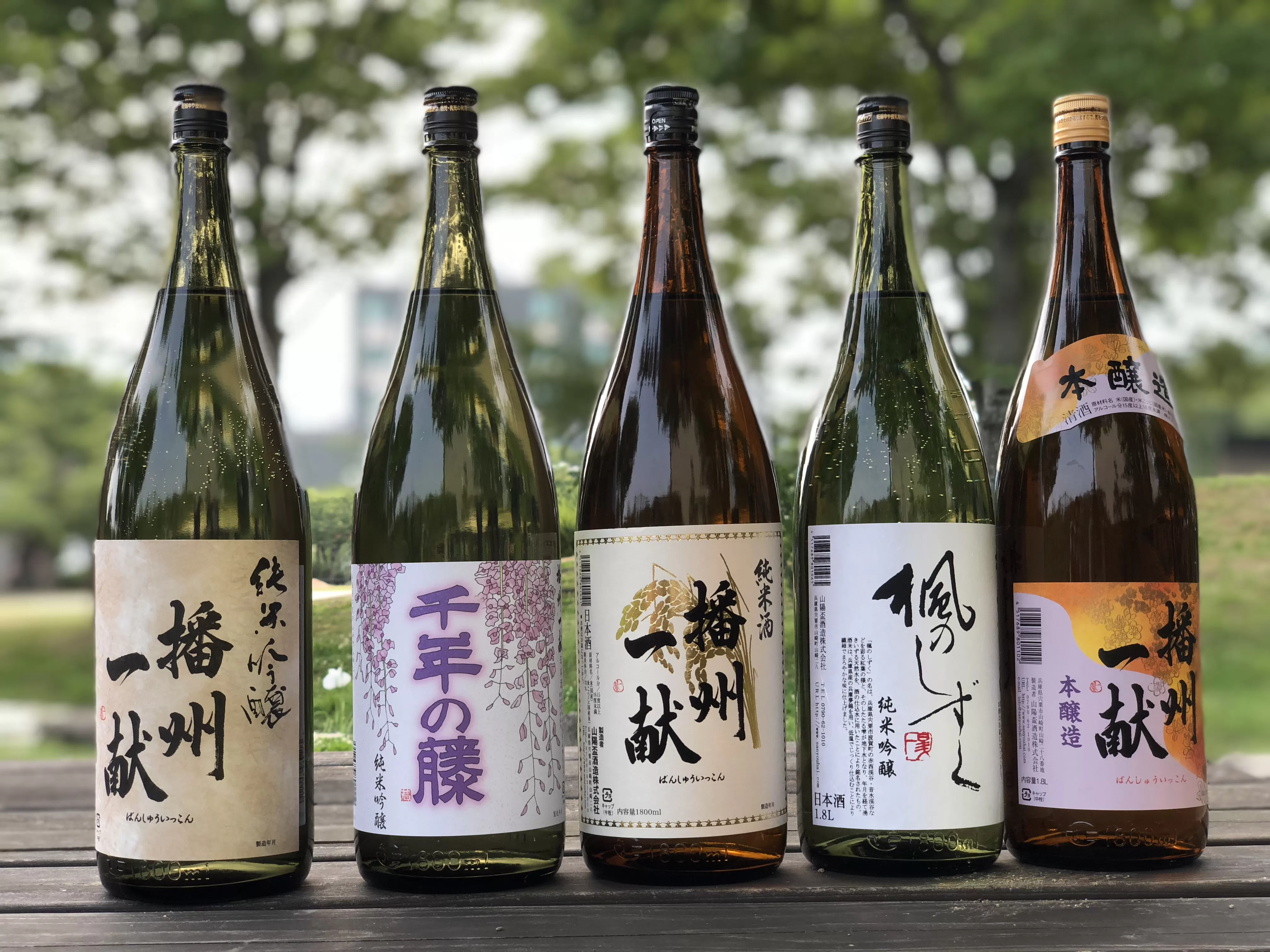 B5　日本酒発祥の地「 播州一献　呑みくらべ セット」