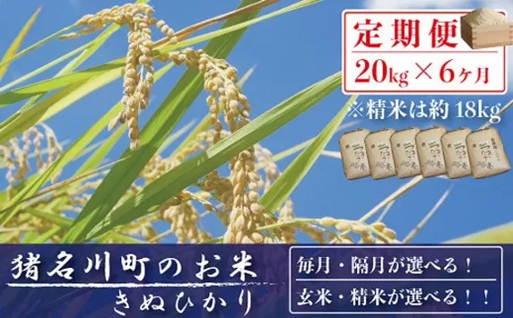 【毎月定期便】猪名川町のおこめ・キヌヒカリ(精米)約18kg×全6回