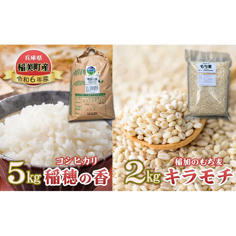 コシヒカリ 『稲穂の香』 5kg と稲加のもち麦『キラモチ』2kg 米 もちむぎ 兵庫県 稲美町産