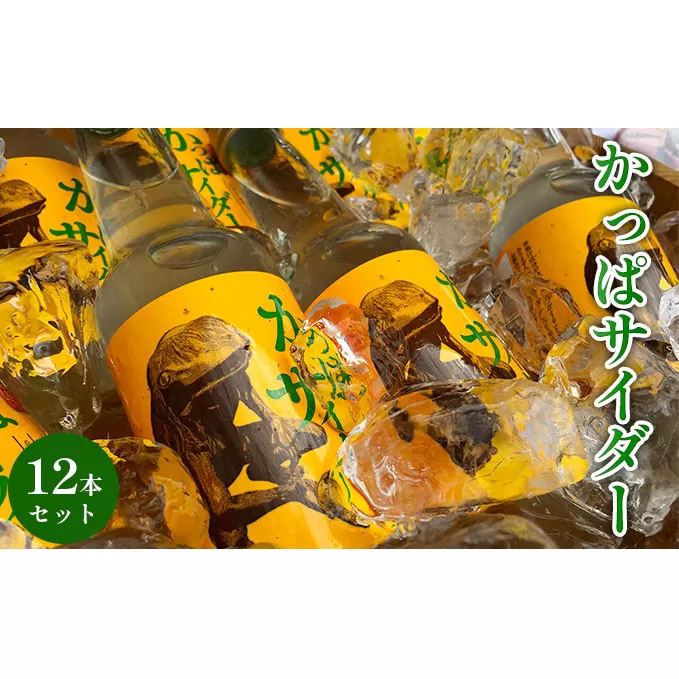 かっぱサイダー（12本セット）