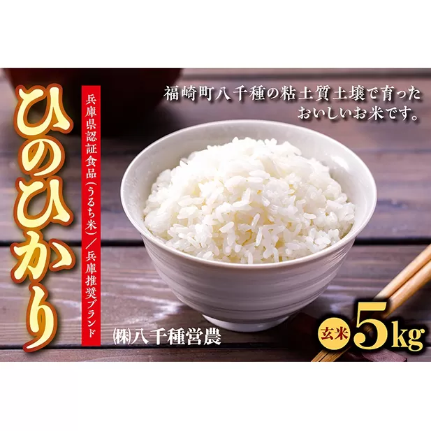 【令和５年度】兵庫県福崎町産 ひのひかり 八千種米5kg 玄米/兵庫県認証食品（うるち米）兵庫推奨ブランド