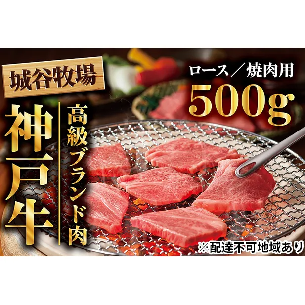 城谷牧場の神戸牛　ロース焼肉用500g  母の日 父の日 ギフト