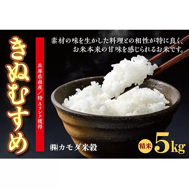 米 令和6年産 兵庫県南産 きぬむすめ 5kg [ お米 白米 精米 おこめ コメ ]