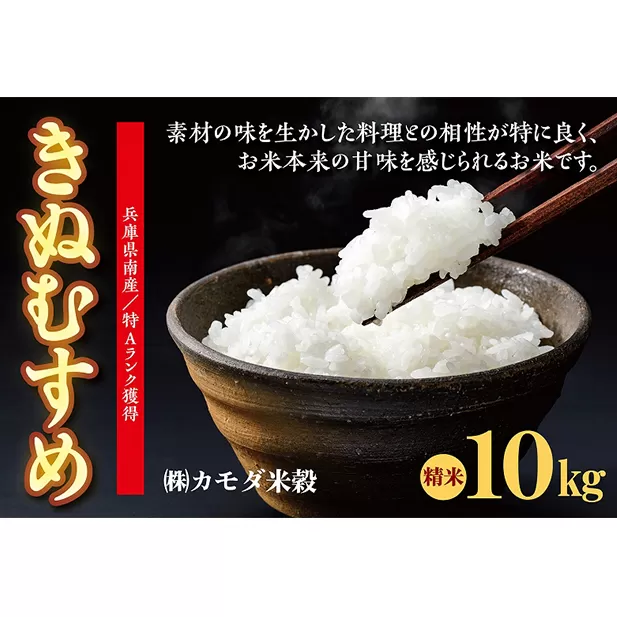 米 令和6年産 兵庫県南産 きぬむすめ 10kg [ お米 白米 精米 おこめ コメ ]