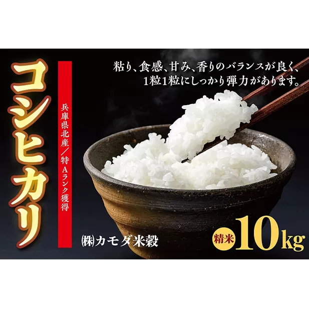 米 令和6年産 兵庫県北産 こしひかり 10kg [ お米 白米 精米 おこめ コメ ]