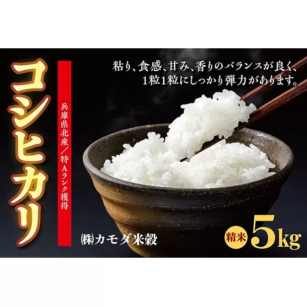 米 令和6年産 兵庫県北産 こしひかり 5kg [ お米 白米 精米 おこめ コメ ]