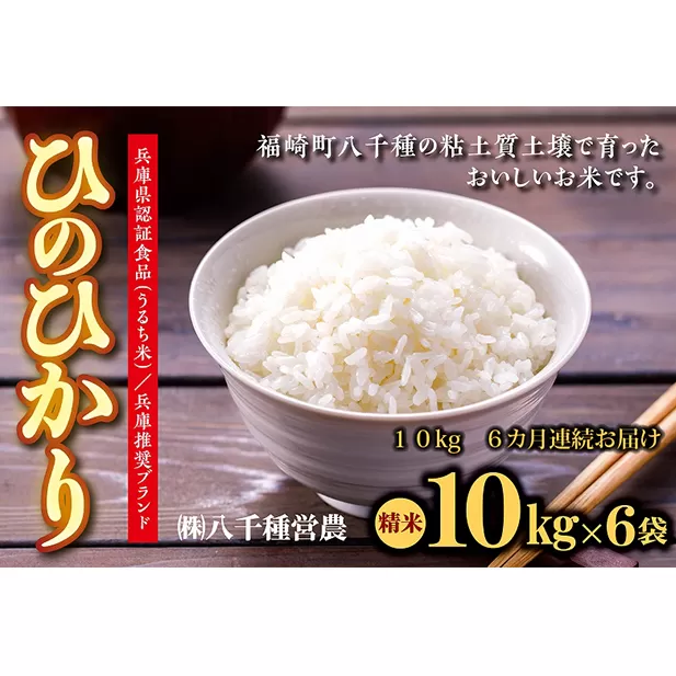 【定期便】兵庫県福崎町産 ひのひかり 八千種米10kg×６回 精米/６ヶ月連続お届け/兵庫県認証食品（うるち米）兵庫推奨ブランド