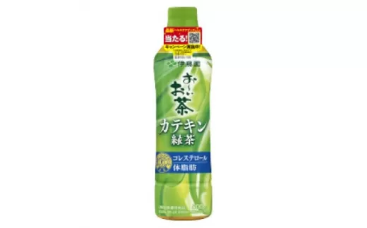 ＜兵庫県神河町＞＜特定保健用食品＞PETお〜いお茶カテキン緑茶500ml48本(2ケース)　伊藤園【1462693】