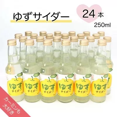 ＜カーミンも大好き＞ゆずサイダー 250ml×24本【1329933】