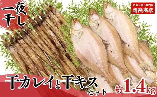 [一夜干し 干カレイと干キスセット]山陰沖で水揚げ 干物 ひもの 海産物 海鮮 魚介 焼いたり 空揚げ お酒のお供 ご飯のお供 送料無料 日本海 香住海岸 香住港 柴山港 兵庫県 香美町 香住 ふるさと納税 宿院商店 12000円 33-12