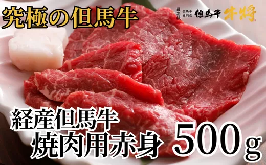 [経産 但馬牛 赤身焼肉用 500g 冷凍 産地直送]日本の黒毛和牛のルーツ 但馬牛は神戸牛、仙台牛、飛騨牛のルーツ牛です 大人気 牛肉 焼肉 ブランド 和牛 但馬 神戸 香美町 村岡 但馬牛専門店 牛将 村岡ファームガーデン 20000円 02-15