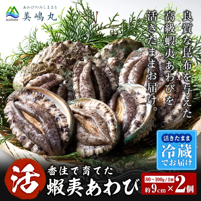 【冷蔵 活あわび 養殖 9cm×2枚 160〜200g (1個80〜100g）】満点青空レストラン うまい！おせち2023に採用されました 新鮮 発送目安：入金確認後1ヶ月以内 日本海 香住で育てた養殖あわびです。昆布を食べて育つ美味しいアワビをお届けします！レシピ入り 香美町 香住 山陰 アワビ 鮑 活アワビ 海鮮 お刺身 あわびのバター焼き 美嶋丸 20-11