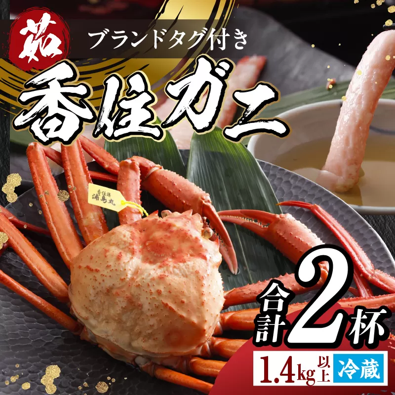 [タグ付き 浜茹で 香住ガニ 冷蔵] 700g以上×2杯 合計1.4kg以上高級香住ガニで 産地直送 香住カニ 香美町 かに 海鮮 ベニズワイガニ ゆで蟹 丸ごと ボイル 脚 爪 身 ほぐし むき身 かにすき しゃぶ 鍋 丸近 32500円 19-13