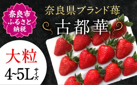 【予約販売】宝石のような濃いルビー色 古都華 奈良ブランド苺 いちご 大粒 4L～5L 2025年1月～数量限定にて順次お届けいたします。　IK-01