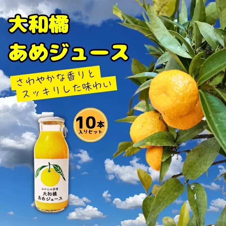 大和橘あめジュース 10本入り ならBonbon 奈良県 奈良市 なら 16-003