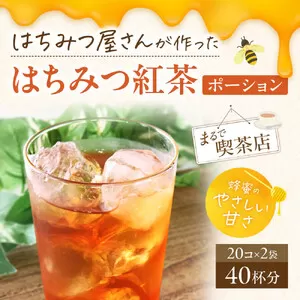 はちみつ屋さんのはちみつ紅茶ポーション 40杯分 20個×2袋 大和蜂蜜 奈良県 奈良市 なら 5-015