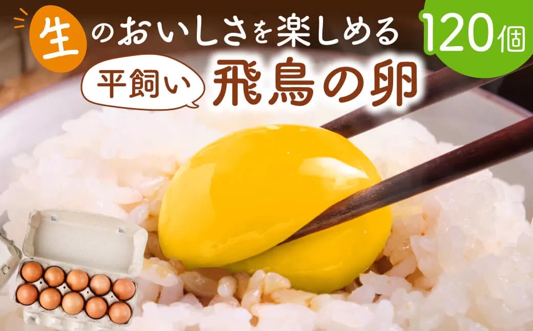 飛鳥の卵（１０個×４箱）定期便３ケ月 たまご 卵 玉子 タマゴ 鶏卵 オムレツ 卵かけご飯 たまご焼き 古都 風雅ファーム 奈良県 奈良市 なら 45-003