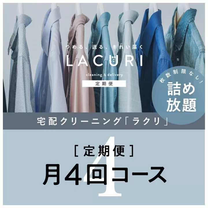 SCBJ-1.【宅配クリーニングの定期便】クリーニング《詰め放題》月４回コース　１年分(48回利用)