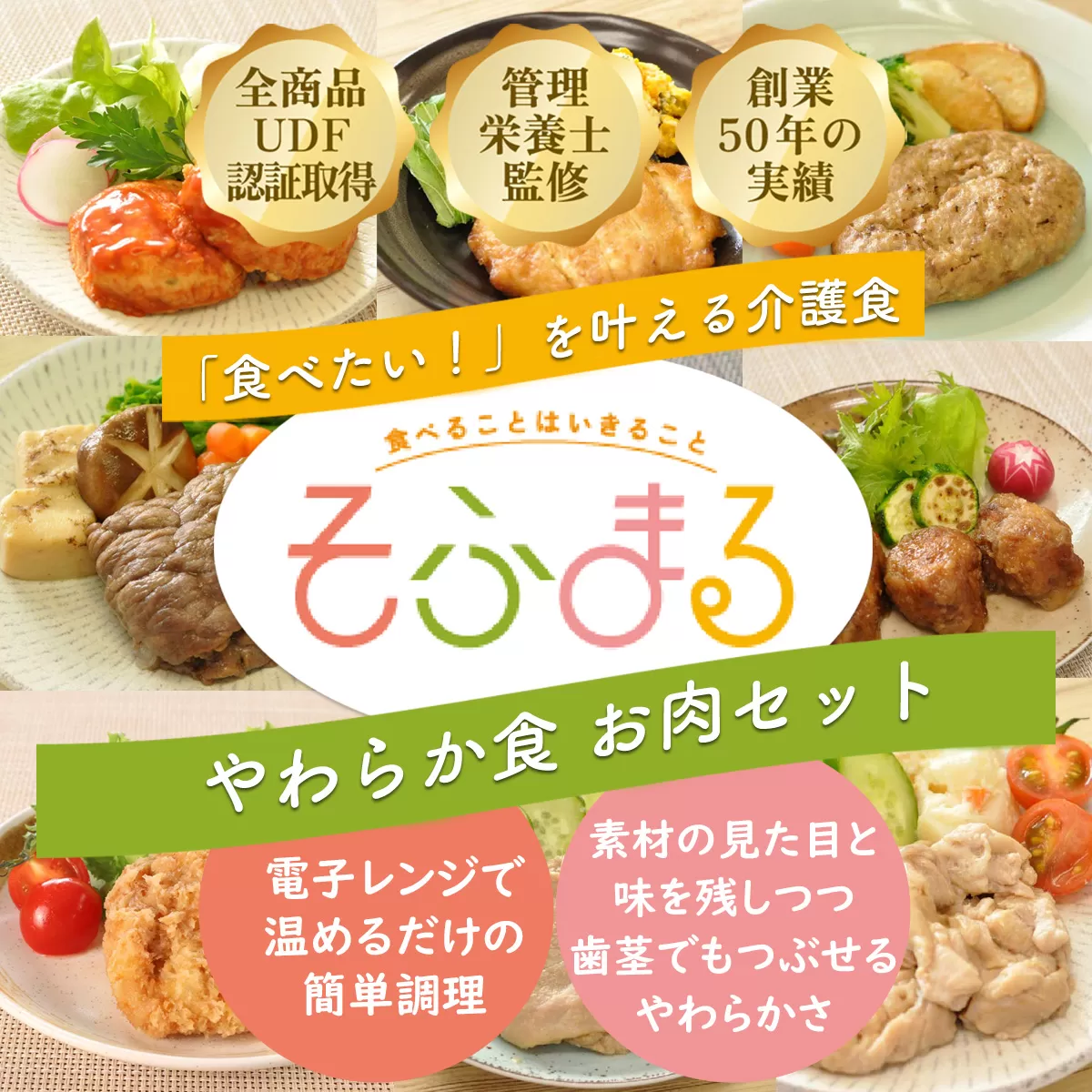 M-C16.【そふまるやわらか食】お肉セット(10食入)