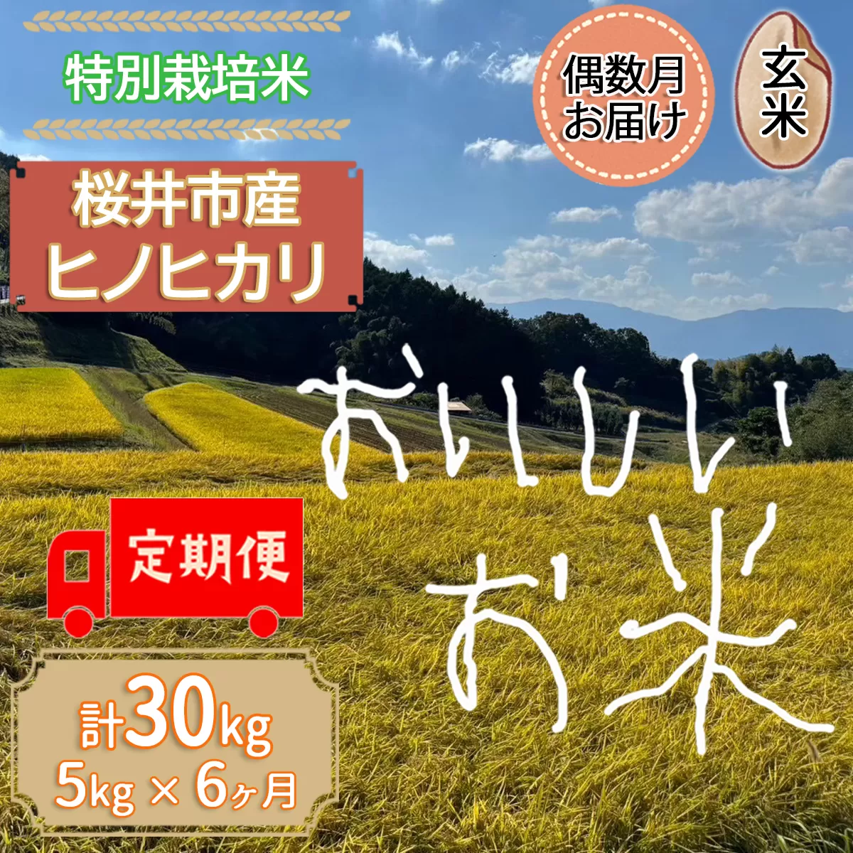 M-HE3.定期便[玄米][特別栽培米]桜井市高家産 ヒノヒカリ 5kg×6回[偶数月のお届け]