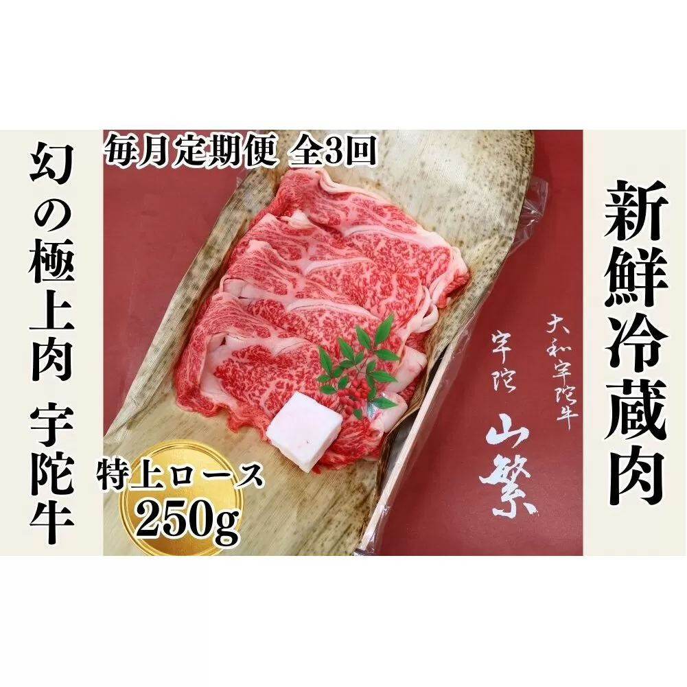 毎月定期便全3回 名産 認定肉 宇陀牛 国産 黒毛和牛 特上 ロース すき焼き 約250g / 山繁 ふるさと納税 牛肉 牛丼 しゃぶしゃぶ人気 寄付 ランキング おすすめ グルメ 肉 返礼品 送料無料