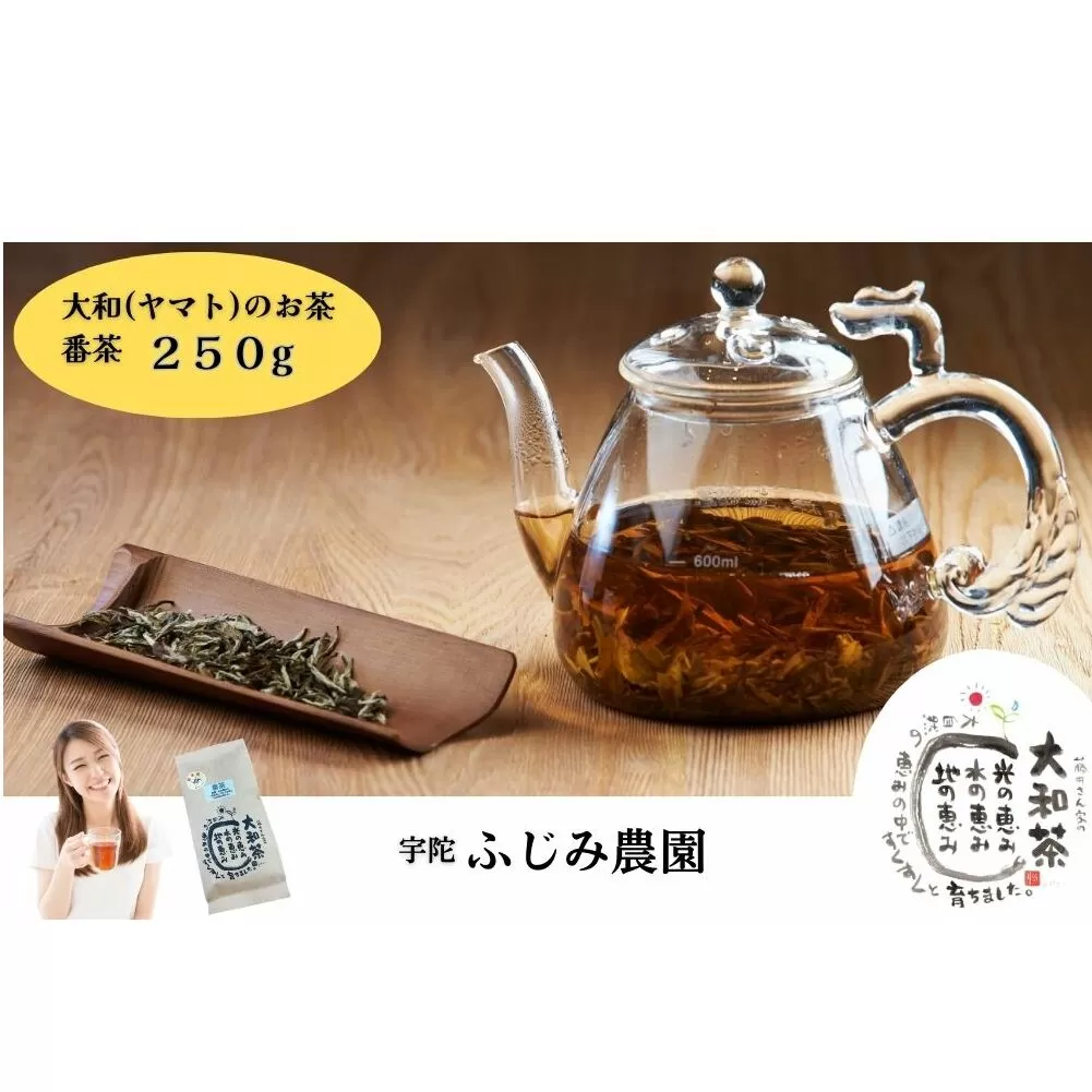 大和(ヤマト)のお茶 番茶 250g 