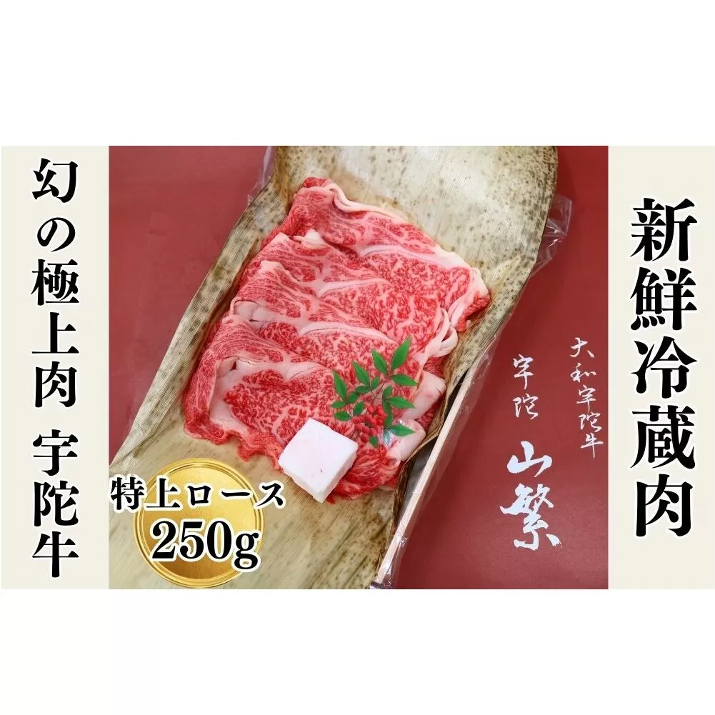 名産 認定肉 宇陀牛 国産 黒毛和牛 特上 ロース すき焼き 約250g チルド / 宇陀 山繁 ふるさと納税 牛肉 人気 ギフト 寄付 ランキング おすすめ グルメ 肉 返礼品 商品 送料無料 送料込