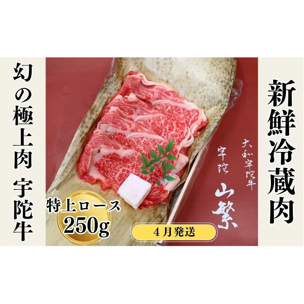 ＜4月発送＞名産 認定肉 宇陀牛 国産 黒毛和牛 特上 ロース すき焼き 約250g チルド / 宇陀 山繁 ふるさと納税 牛肉 人気 ギフト 寄付 ランキング おすすめ グルメ 肉 返礼品 商品 送料無料 送料込