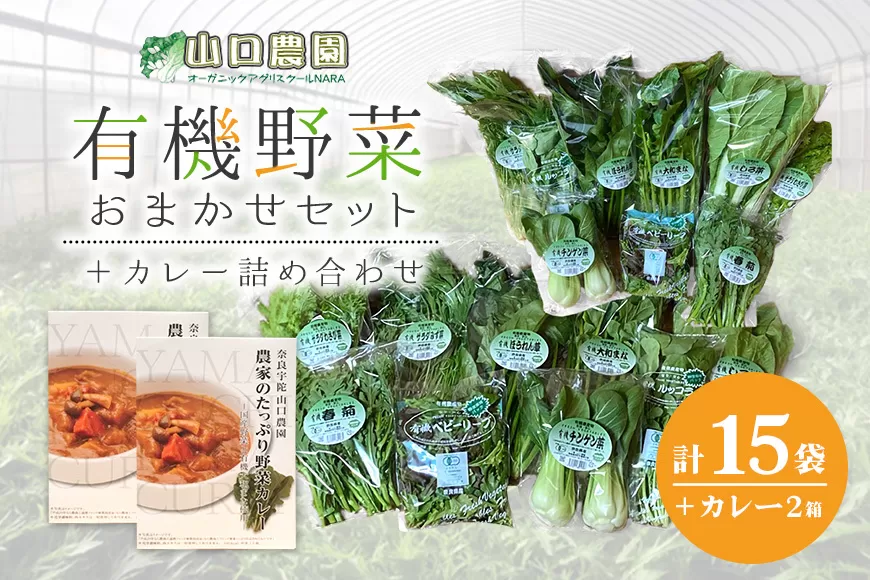 （チルド）山口農園　有機野菜　おまかせセット ＋ カレー２箱　詰合せ / 山口農園 有機野菜 伝統野菜 オーガニック ベジタリアン 定期便 カレー 無農薬 野菜セット 送料無料 無農薬 農家直送 ふるさと納税 詰め合わせ 奈良県 宇陀市 ふるさと納税