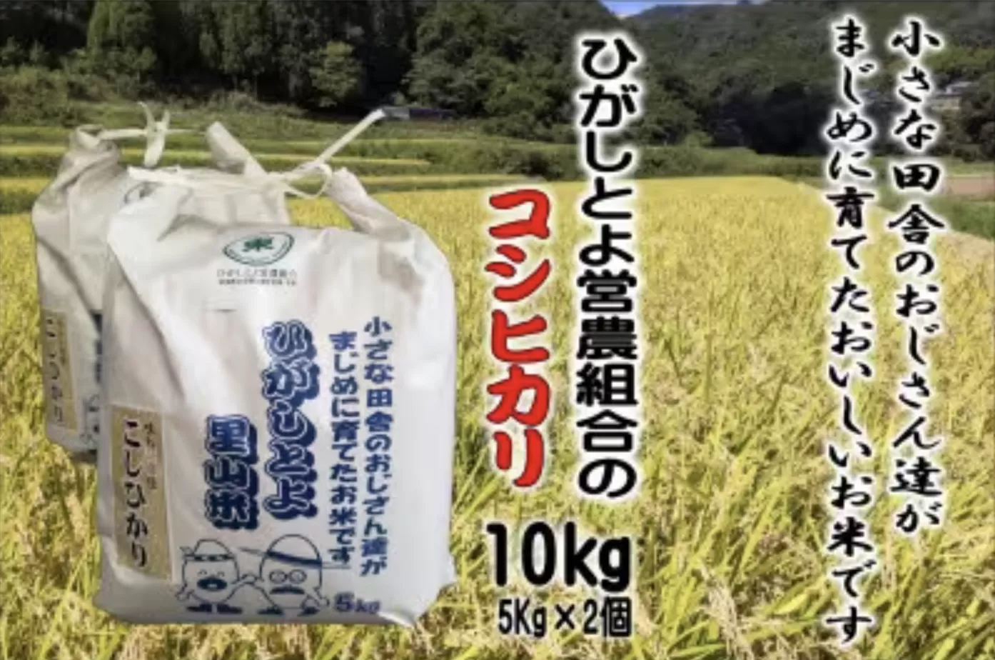 9月発送予約 50個限定!小さな田舎のおじさんたちが真面目に作ったお米 ひがしとよ里山米10kg