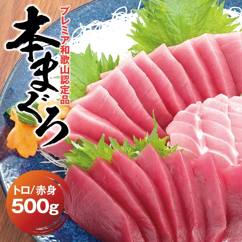 本マグロ（養殖）トロ＆赤身セット 500g  【12月発送】高級 クロマグロ  中トロ 中とろ まぐろ マグロ 鮪 刺身 赤身 柵 じゃばらまぐろ 本マグロ 本鮪 