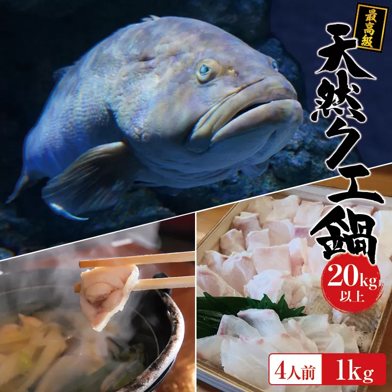 【冷凍】天然 最高級クエ 20kg 以上  クエ鍋セット 4人前(250g×4) 【2023年11月下旬から2024年2月下旬までに順次発送致します。】 / 高級 海鮮 お魚 魚  くえ鍋 クエ鍋 くえ くえ天然 冷凍 海産物