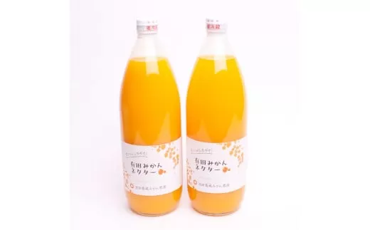 とろり みかんネクター1000ml×2本[無添加100%ストレートジュース][有田みかんジュース]